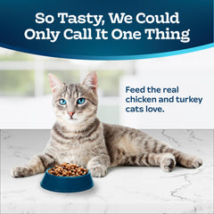 Blue Buffalo Tastefuls kibble closeup shows bite-sized pieces for adult cats.