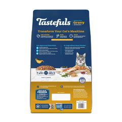 Blue Buffalo Tastefuls bowl-ready dry kibble showing crunchy texture