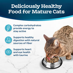 Chicken and brown rice dry cat food for balanced meals
