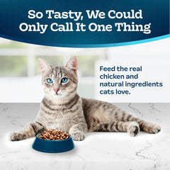 Kibble close-up from Tastefuls showing crunchy texture for indoor cats.