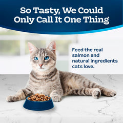 Blue Buffalo Tastefuls LifeSource Bits provide antioxidants for immune support