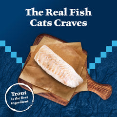 Blue Buffalo Wilderness high-moisture wet cat food supports daily hydration