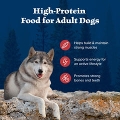 Blue Buffalo Wilderness dry dog food kibble close-up shows crunchy texture for meals