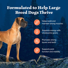 Blue Buffalo LifeSource Bits visible in kibble provide antioxidant-rich support.