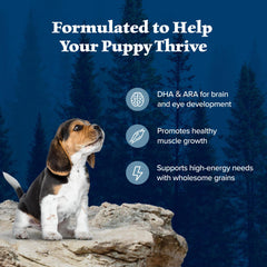 Blue Buffalo Wilderness Puppy DHA brain development focus for cognitive support