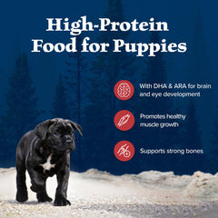 Ingredients panel on Blue Wilderness Rocky Mountain Puppy bag highlights no chicken by-products and no corn, soy, or wheat.