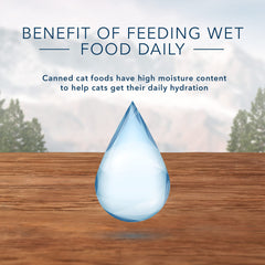 Blue Buffalo Wilderness salmon pâté can; grain-free formula with real fish.
