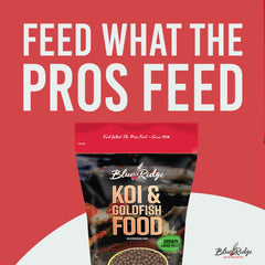 Blue Ridge Koi Food 2lb floating pellets on water surface enables easy feeding.