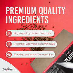 Blue Ridge Koi Food color enhancer boosts vibrancy with spirulina and canthaxanthin