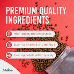 Blue Ridge Koi Food year-round nutrition helps koi thrive in all seasons.
