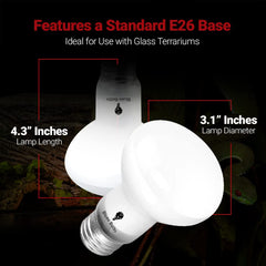 Bluex Bulbs glass terrarium heat lamp providing even temperature in habitat.