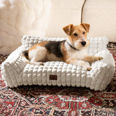 blunique cute dog bed with soft faux rabbit fur surface for cozy lounging