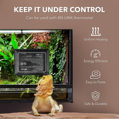 BN-LINK reptile heating pad on glass terrarium demonstrates easy mounting and heat coverage