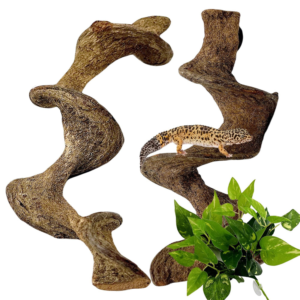 BNOSDM natural reptile branch 13-inch climbing perch for bearded dragons