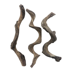 BNOSDM reptile branch forest texture for climbing enrichment in terrariums.