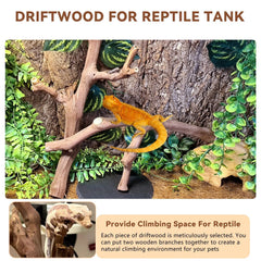 BNOSDM reptile wood branch provides authentic habitat decor and safe enrichment