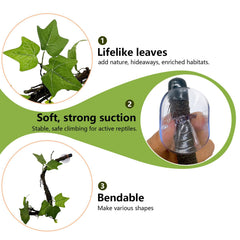 BNOSDM suction cups securely mount reptile decor.