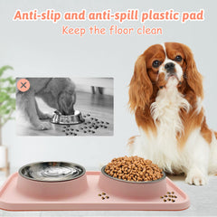BNOSDM two-bowls set for simultaneous feeding of pets.