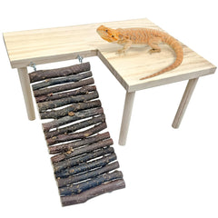 BNOSDM wooden basking platform with ramp enables safe sunning and climbing.