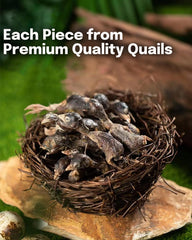 BNYEE quail treats closeup highlights single-ingredient nutrition for pets.