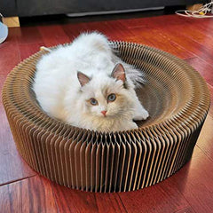 BobbyPet collapsible design makes travel and storage easy.