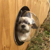 BobbyPet dog fence window dome installation showing quick setup for a secure view
