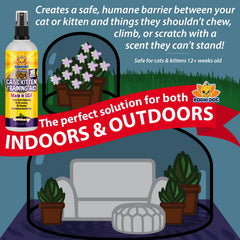 Bodhi Dog bitter spray for cats deterring chewing safely