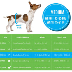 Bodhi Dog disposable male diapers wetness indicator clearly shows when a change is needed.