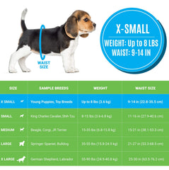 Bodhi Dog wetness indicator strip highlights when a change is needed
