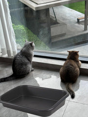 BOHESI extra-large litter box low-entry promotes smooth footing for arthritic pets.