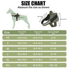 Bolux harness with adjustable chest strap to fit growing dogs.