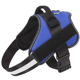 Bolux dog harness overview with no-pull design and reflective safety for daily walks.