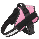 Bolux no-pull dog harness with reflective pink straps for safer night walks.