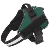 Bolux dog harness with no-pull design for comfortable daily walks.