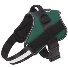 Bolux dog harness with no-pull design for comfortable daily walks.