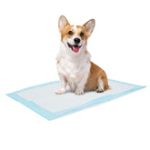 Bolux dog-training pad shows ultra-absorbent core for moisture control.