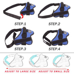 Bolux sturdy handle feature for easy control on walks.