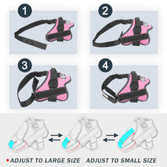 Bolux harness with D-ring leash attachment for secure walks.