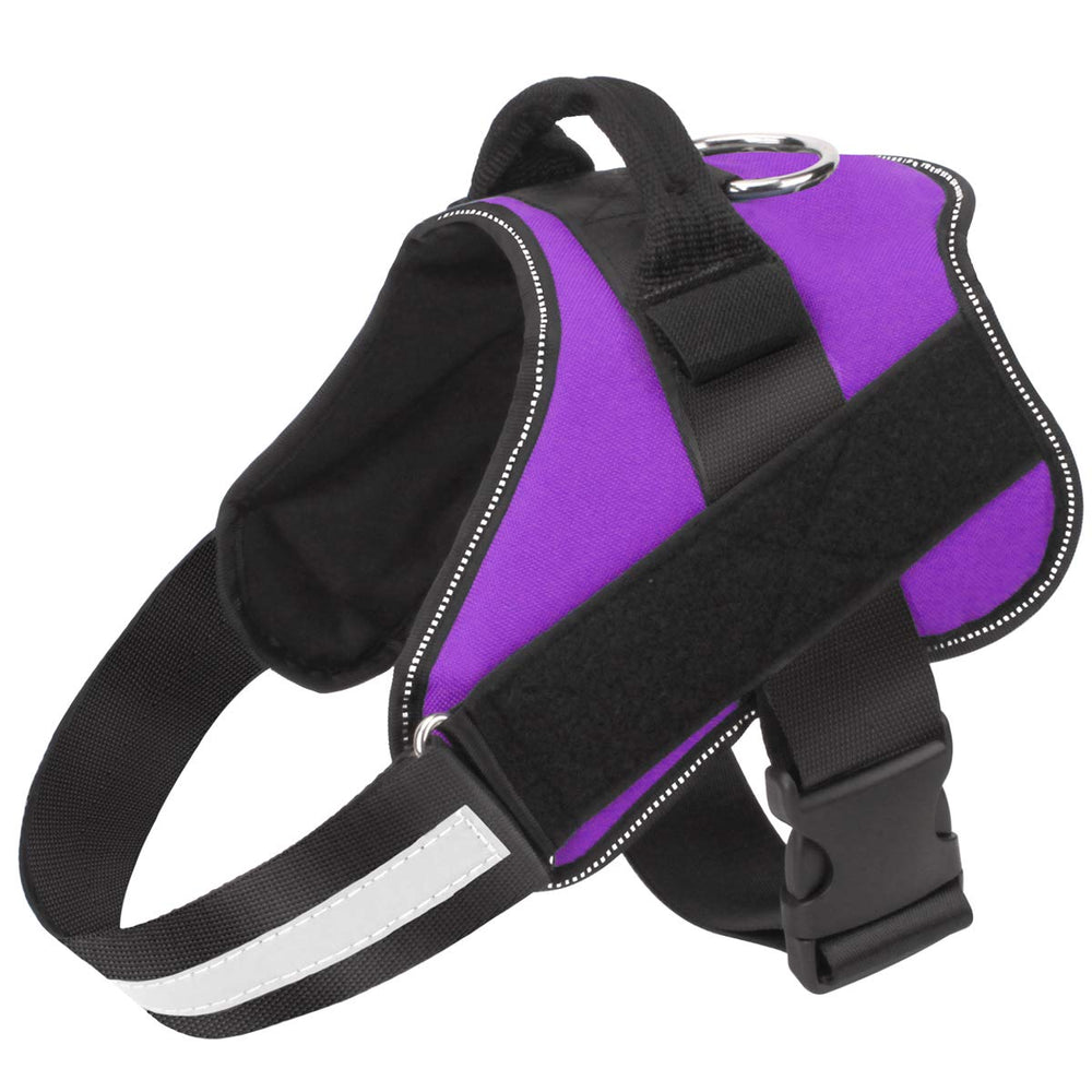 Bolux no-pull harness in purple reduces pulling during daily walks.
