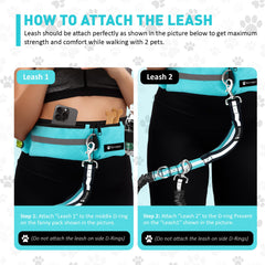 Bondesir waist belt with pockets for phone, keys and treats.