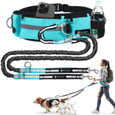 Bondesir waist leash for two dogs with shock-absorbing bungee for smooth walking.