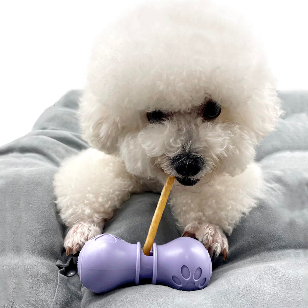 BoniVet Bully Stick Holder Small Purple front view shows secure chew grip