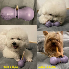 Small purple BoniVet holder sized for small dogs