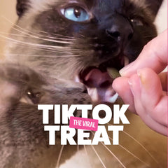 Bonkers Salmon Supreme high-protein snack—quality ingredients for daily treats.