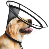 BONTHEE Clear Dog Cone XXXL with extended coverage protecting wounds while keeping visibility.