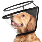 BONTHEE foldable-depth dog cone collar for easy meals during recovery