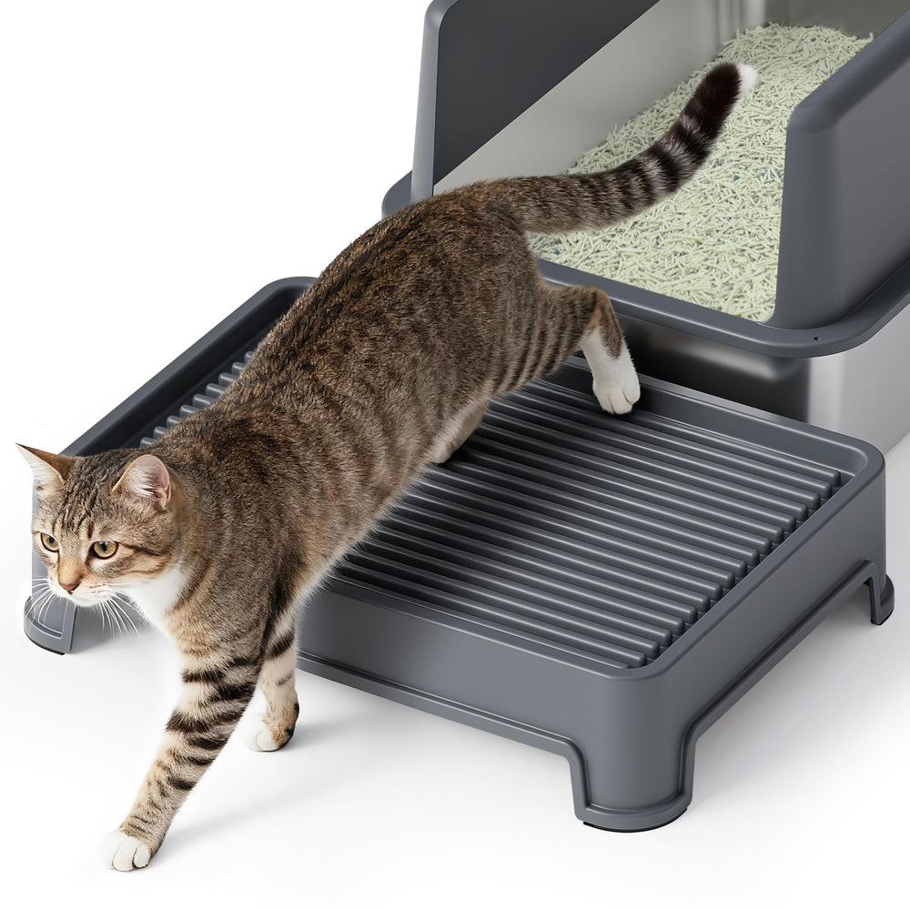Booche cat ramp with litter-trap entrance reduces floor mess.