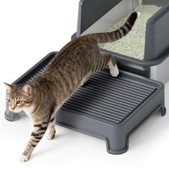 Booche cat ramp with litter-trap entrance reduces floor mess.
