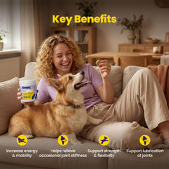 Boops Pets chondroitin-boosted support for comfortable daily activities