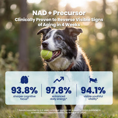 Boops Pets NAD+ packaging label showing human-grade ingredients